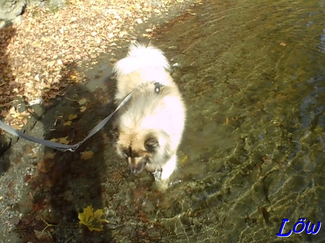 2.11.2025 - Geschmacks-Kontrolle